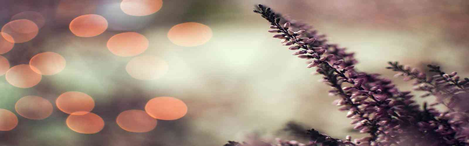 67381cm.顶级游戏